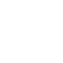 Special Tourist Buses