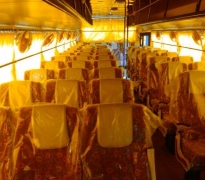 shivmotors-ac-bus (4)